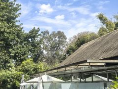 -老房子金沙元年川菜食府·花园餐厅(金沙店)