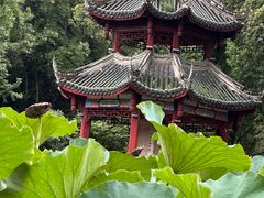 -房湖公园