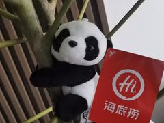 -海底捞火锅(万丰桥店)