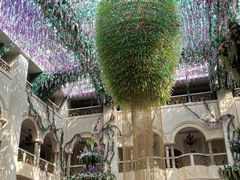 -深圳东部华侨城茵特拉根酒店