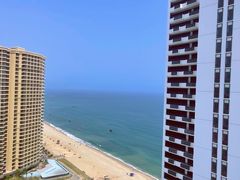 -广东惠东海龟国家级自然保护区