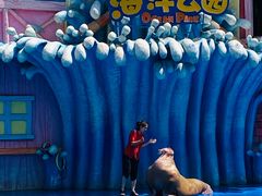 -华夏文旅海洋公园