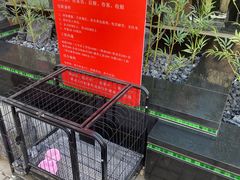 -初蓉丨遇见新川菜(亲贤街荣耀店)