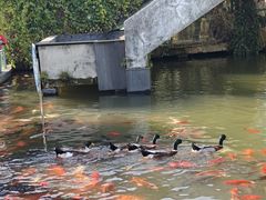 -南昌动物园