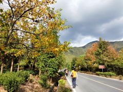 -塔川景区