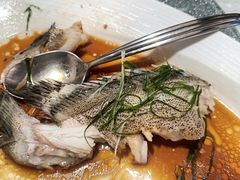 -南海渔村(珠江新城店)