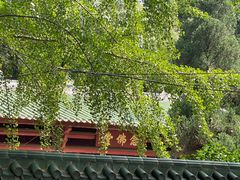 -南华禅寺