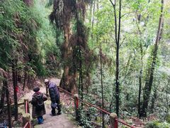 -圣母洞九天玄女宫