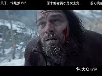 其实我并不喜欢看《荒野猎人》这种画面阴沉单调的影片