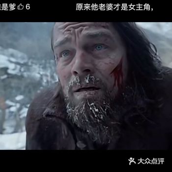 其实我并不喜欢看《荒野猎人》这种画面阴沉单调的影片