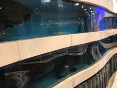 景观位-凤凰楼酒家·粤宴点心(华强北店)