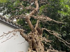 -成都杜甫草堂博物馆