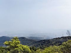 -广州市帽峰山景区