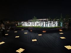 -南京眼步行桥