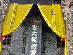 -大槐树寻根祭祖园