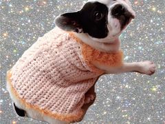 -犀牛家猪排
