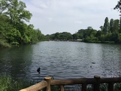-井之头恩赐公园