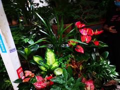 -三旗百汇商品城