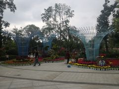 -成飞公园