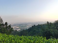 -火炉山森林公园