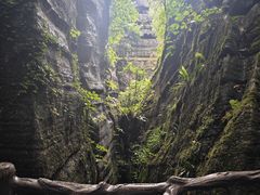 -梭布垭石林景区