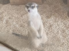 -海合安武汉极地海洋公园