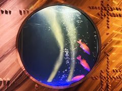 -莉莉海堂HAITANG·烤鸭(国贸商城店)