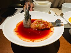 -觀芷隐轩