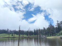-瓦屋山景区