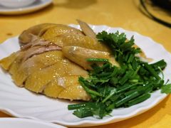 正宗白切鸡-巫记鸡饭店