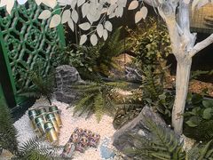 -七欣天香辣蟹火锅(无锡金太湖国际城店)