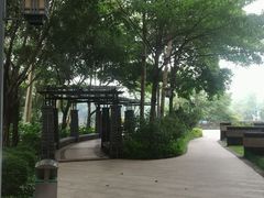 -王借岗森林公园