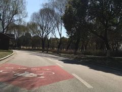 -贡湖湾湿地公园