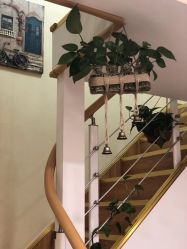 -阅年轻·AI家庭健康体质调理