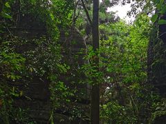 -梭布垭石林景区