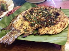 -纳兰傣雀傣味餐厅