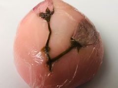 -云朵上的鱼(莘庄店)