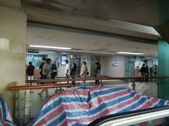 -上海市普陀区中心医院