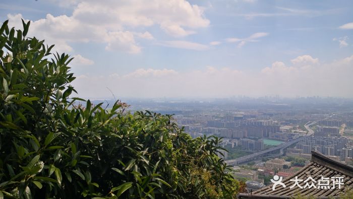 杭州半山国家森林公园图片