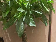 -沪碟·精菜坊(闵行店)