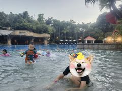 -Waterfall瀑布湾优健源(华侨城店)