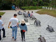 -广东惠东海龟国家级自然保护区