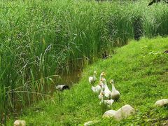 -东郊湿地公园