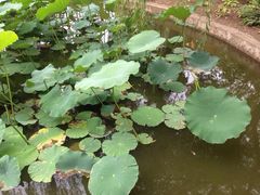iphone_upload_pic-大明幻境第一城