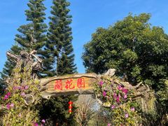 -东莞植物园