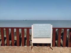 -上海滨江森林公园