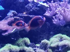 -多彩贵州城极地海洋世界