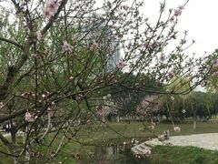-江南大学(蠡湖校区)