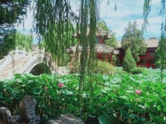 -莲池书院博物馆