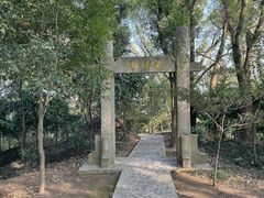 -上海佘山国家森林公园天马山园